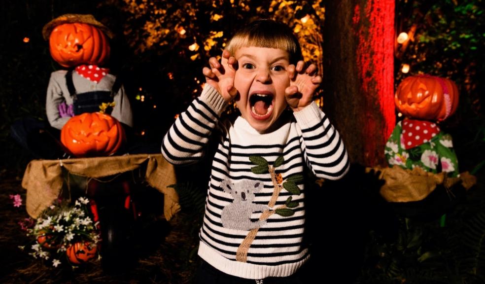 Enjoy spooktacular fun at Edinburgh Zoo this Halloween The Parenting